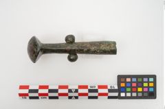 Foto von Bronzeortband (NHMW-PRAE-025457)